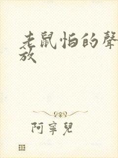 老鼠怕的声音播放