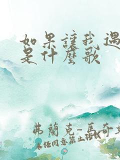 如果让我遇见你是什么歌