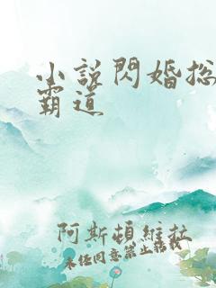 小说闪婚总裁太霸道