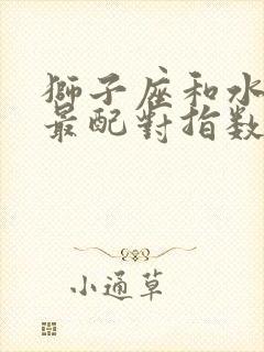 狮子座和水瓶座最配对指数