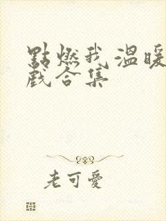 点燃我温暖你吻戏合集
