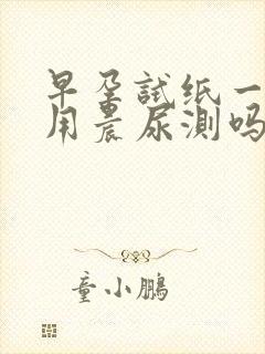 早孕试纸一定要用晨尿测吗