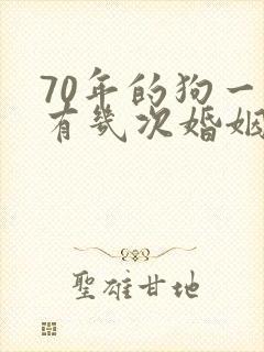 70年的狗一生有几次婚姻