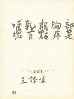 哺乳期胸部有硬块有点疼是怎么回事