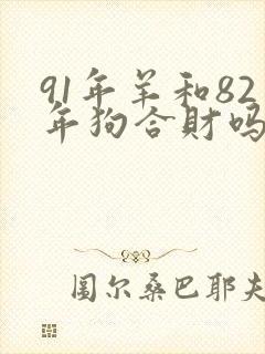 91年羊和82年狗合财吗