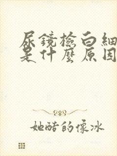 尿镜检白细胞高是什么原因引起的