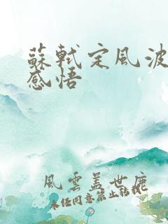 苏轼定风波人生感悟