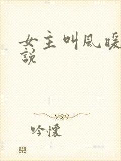女主叫风暖的小说