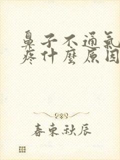 鼻子不通气嗓子疼什么原因