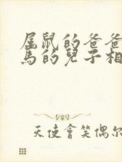 属鼠的爸爸和属马的儿子相冲吗