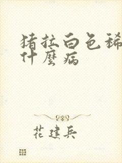 猪拉白色稀便是什么病