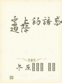 云上的诱惑飞机迫降