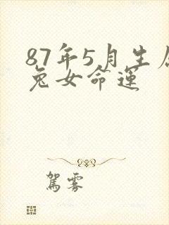 87年5月生属兔女命运