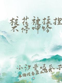 校花被揉捏两乳不停呻吟