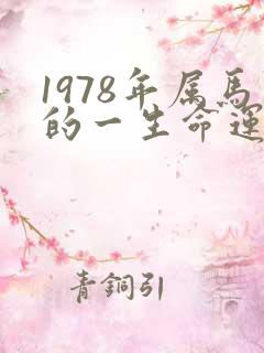 1978年属马的一生命运如何