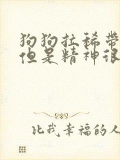 狗狗拉稀带点血但是精神很好