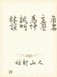 林诚为主角的小说叫什么名字