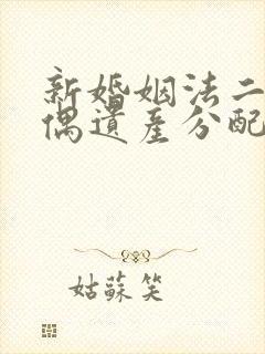 新婚姻法二婚丧偶遗产分配