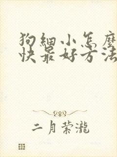 狗细小怎么治最快最好方法