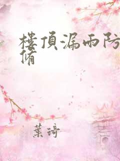 楼顶漏雨防水维修