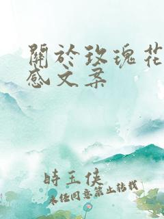 关于玫瑰花的伤感文案