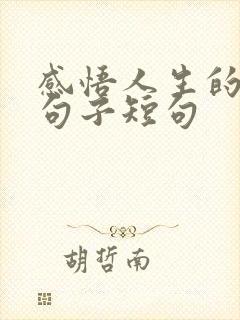 感悟人生的经典句子短句