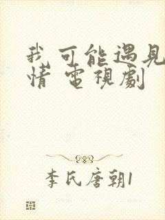 我可能遇见了爱情 电视剧