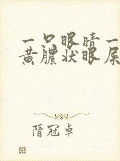 一只眼睛一直出黄脓状眼屎