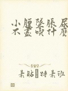 小腹坠胀尿频尿不尽吃什么药