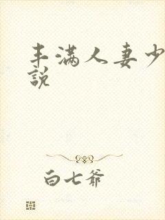 丰满人妻少妇小说