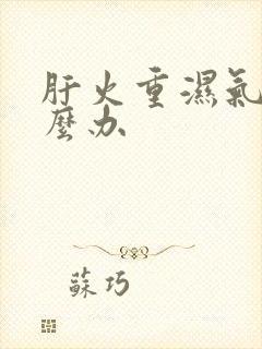 肝火重湿气重怎么办