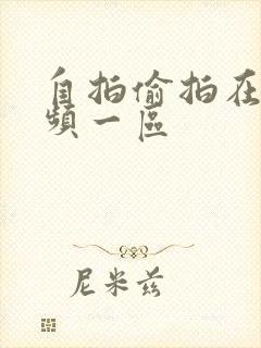 自拍偷拍在线视频一区