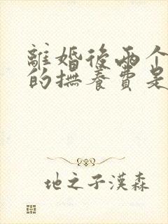 离婚后两个孩子的抚养费是多少钱