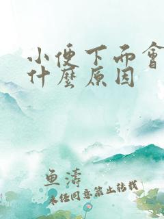 小便下面会疼是什么原因