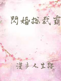 闪婚总裁霸道宠