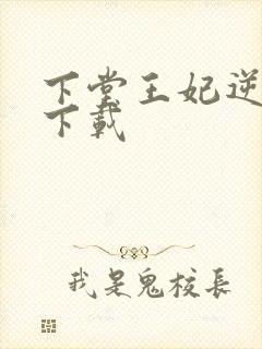 下堂王妃逆袭记下载