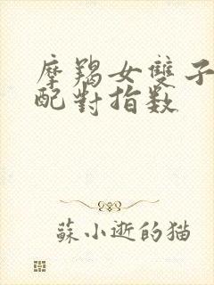 摩羯女双子男座配对指数