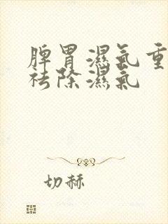 脾胃湿气重怎样祛除湿气