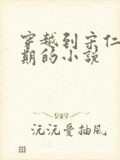 穿越到宋仁宗时期的小说