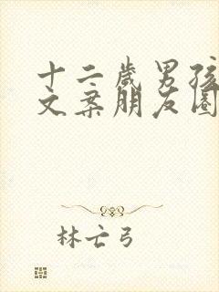 十二岁男孩生日文案朋友圈