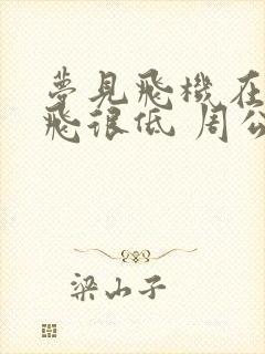 梦见飞机在头顶飞很低 周公解梦