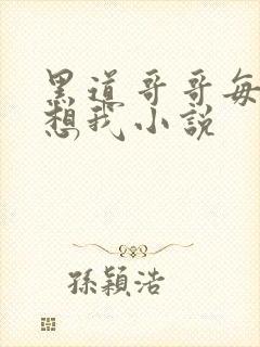 黑道哥哥每天都想我小说