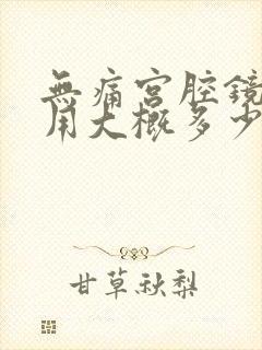 无痛宫腔镜的费用大概多少钱