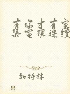 有你才有家50集电视连续剧