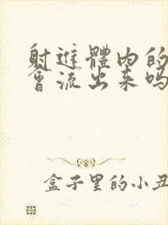 射进体内的精子会流出来吗