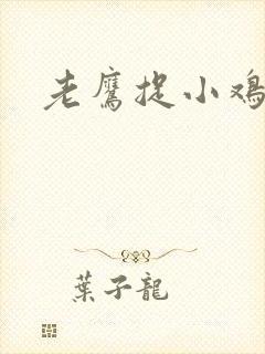 老鹰捉小鸡新书