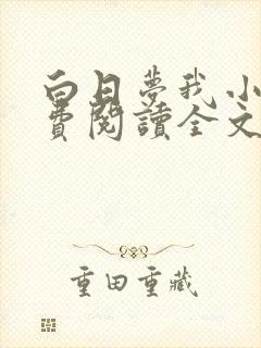 白日梦我小说免费阅读全文章节