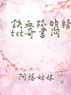 铁血残明精校版txt奇书网