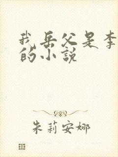 我岳父是李世民的小说