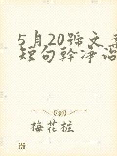 5月20号文案短句干净治愈